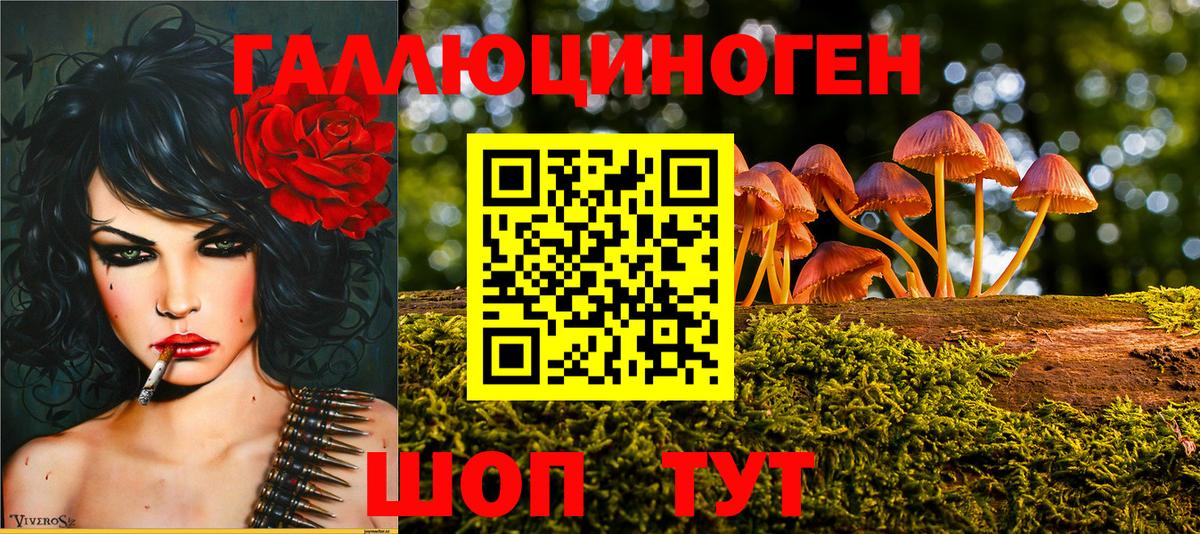 Псилоцибиновые грибы мицелий Корсаков