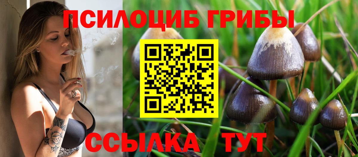 Корсаков  Псилоцибиновые грибы Cubensis  Вход с VPN 